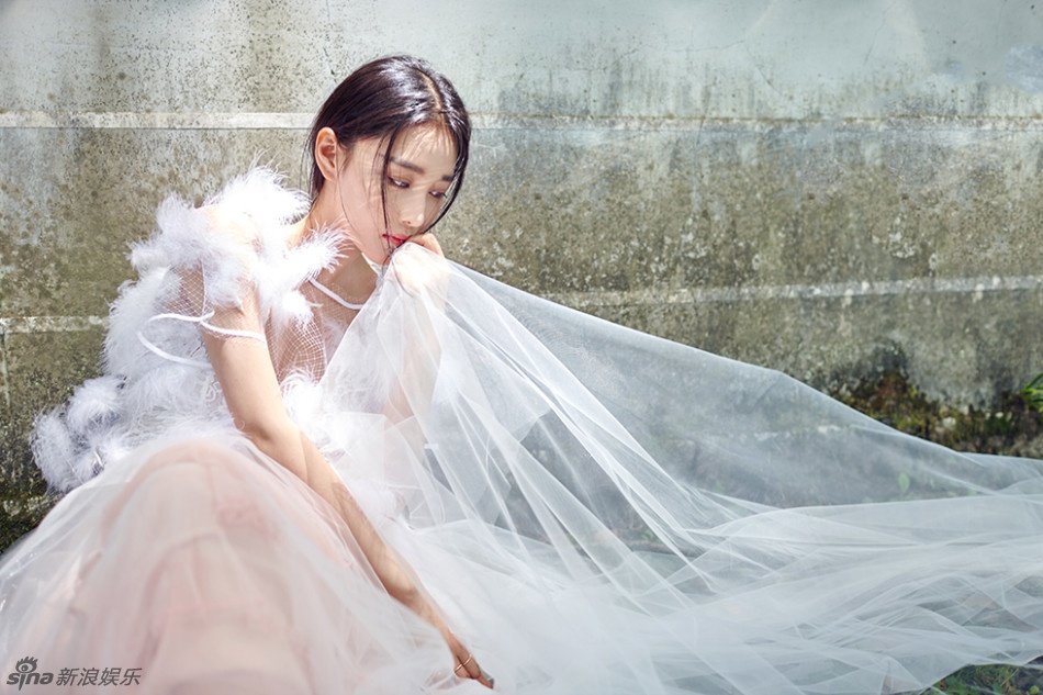 Truong Hinh Du noi ve Pham Bang Bang anh 7