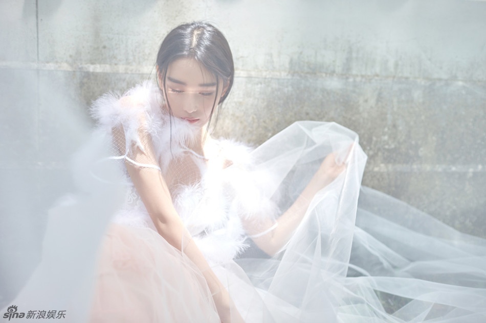 Truong Hinh Du noi ve Pham Bang Bang anh 8