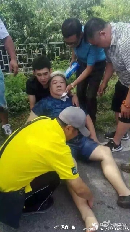 Tai nan sao Hoa ngu anh 2