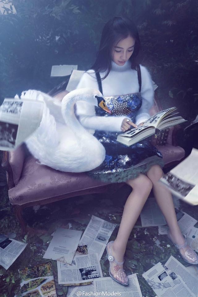 Angelababy tren tap chi anh 4