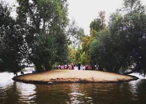 Tài sản của Thư Kỳ ảnh 2 Tai san cua Thu Ky anh 2