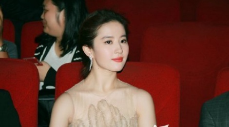 Su that khong nhu mo ve giai thuong quoc te cua Luu Diec Phi hinh anh