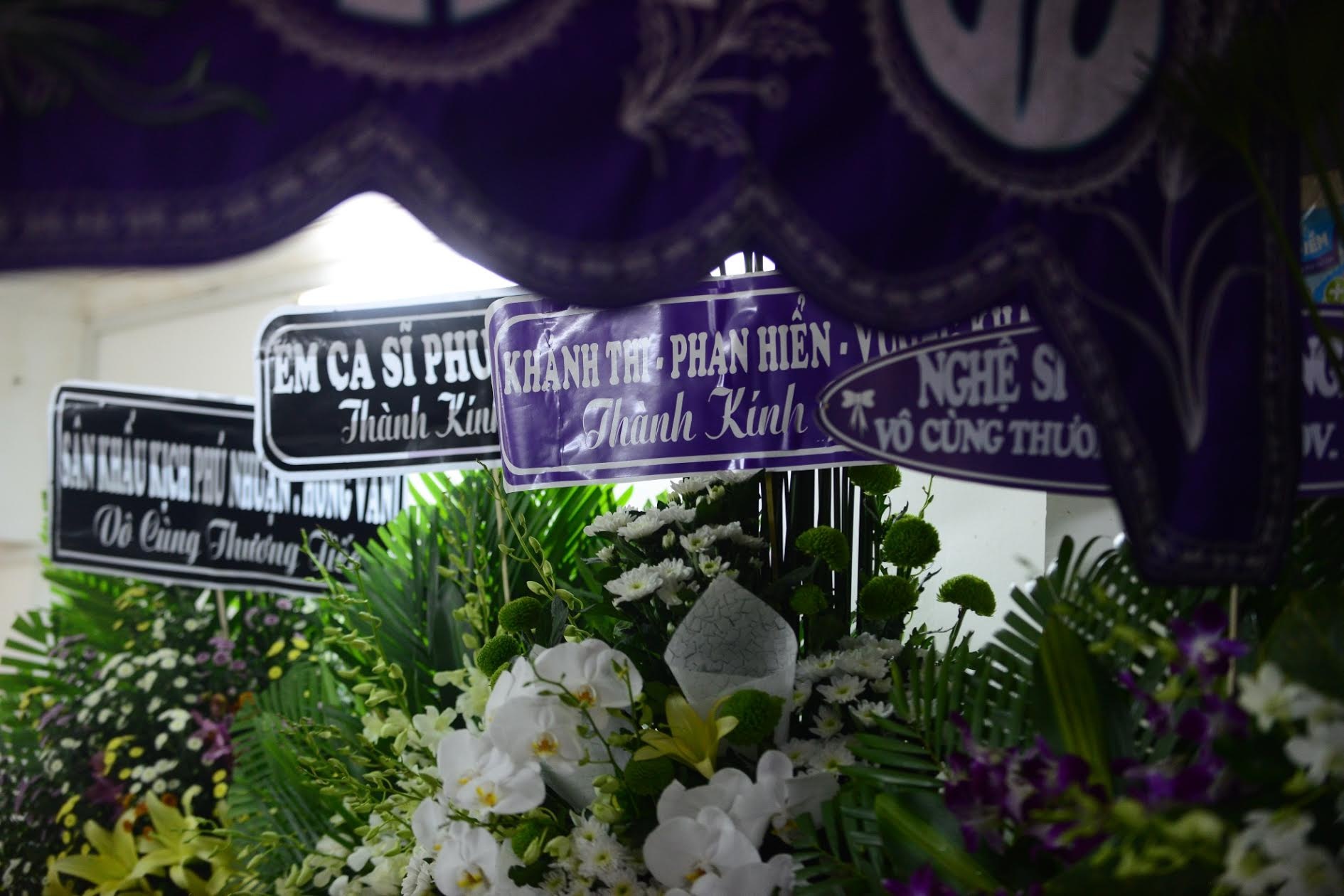 dam tang ca si Minh Thuan anh 15