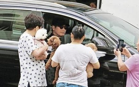 Chau Nhuan Phat gia yeu va kho co the tiep tuc dong phim hinh anh