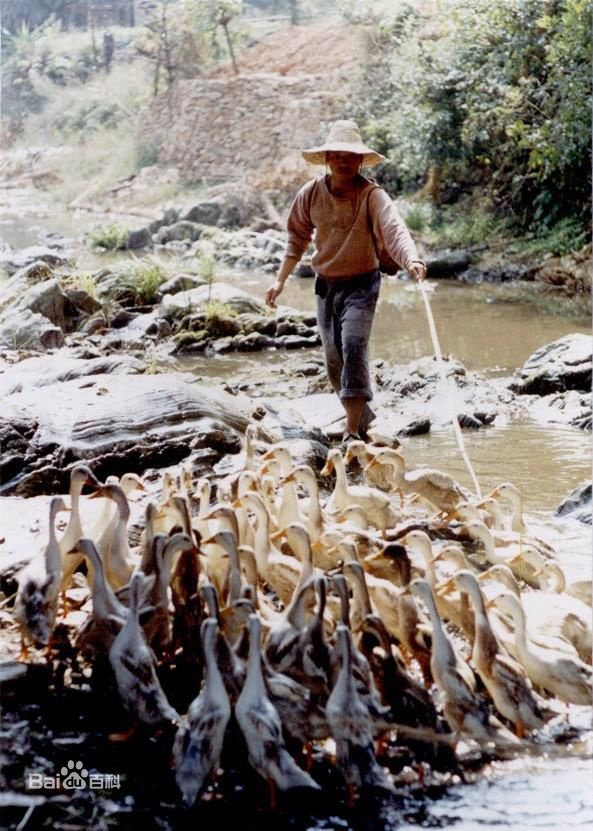 Canh dep man anh khi chuyen the tu truyen Mac Ngon anh 13