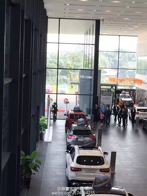 Gia thế anh trai Triệu Vy ảnh 1 Gia the anh trai Trieu Vy anh 1