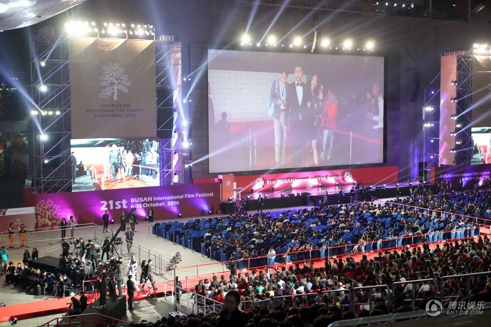 LHP Busan bi tay chay anh 1