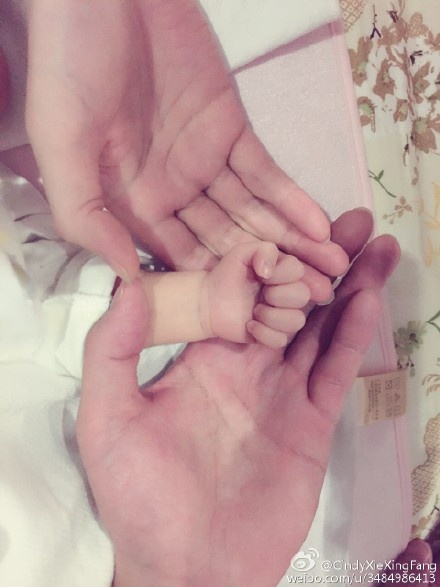 Lin Dan ngoại tình ảnh 1 Lin Dan ngoai tinh anh 1