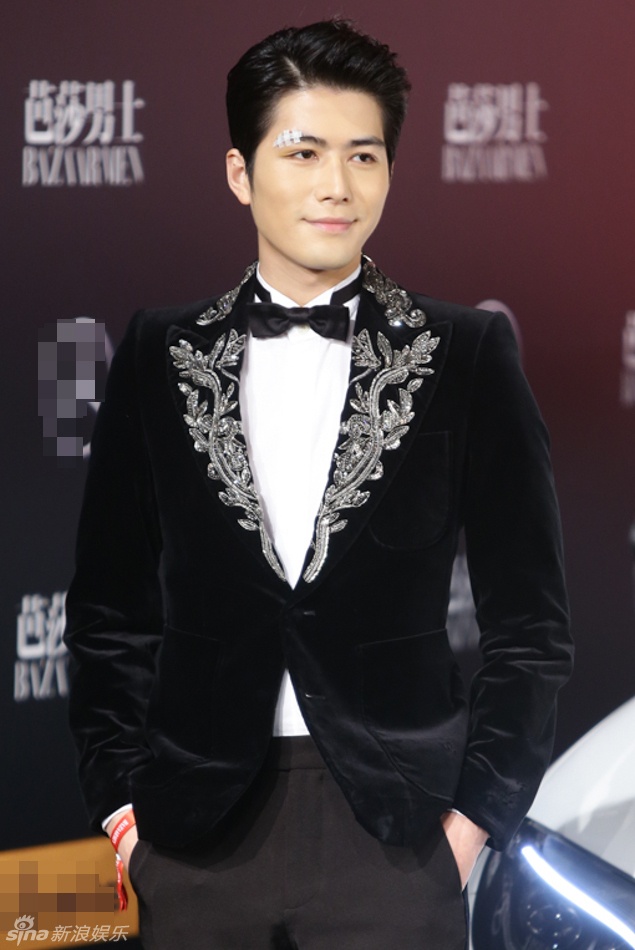 Sao Hoa ngữ trên thảm đỏ ảnh 5 Sao Hoa ngu tren tham do anh 5