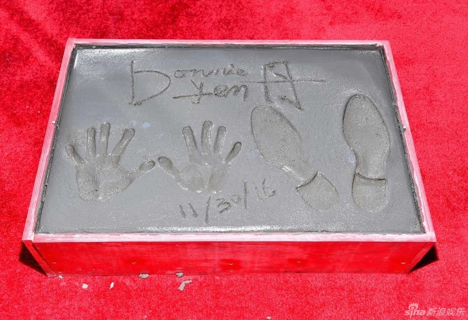 Chan Tu Dan in dau tay tai Hollywood anh 4