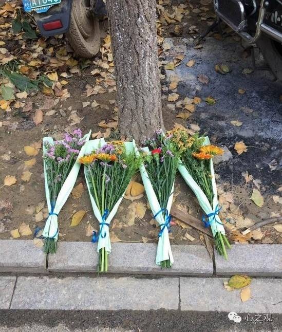 MC Trung Quoc tu tu truoc ngay cuoi anh 3