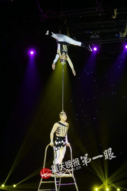 2 nghệ sĩ bị Việt Nam qua mặt là thần đồng xiếc ảnh 3 2 nghe si bi Viet Nam qua mat la than dong xiec anh 3