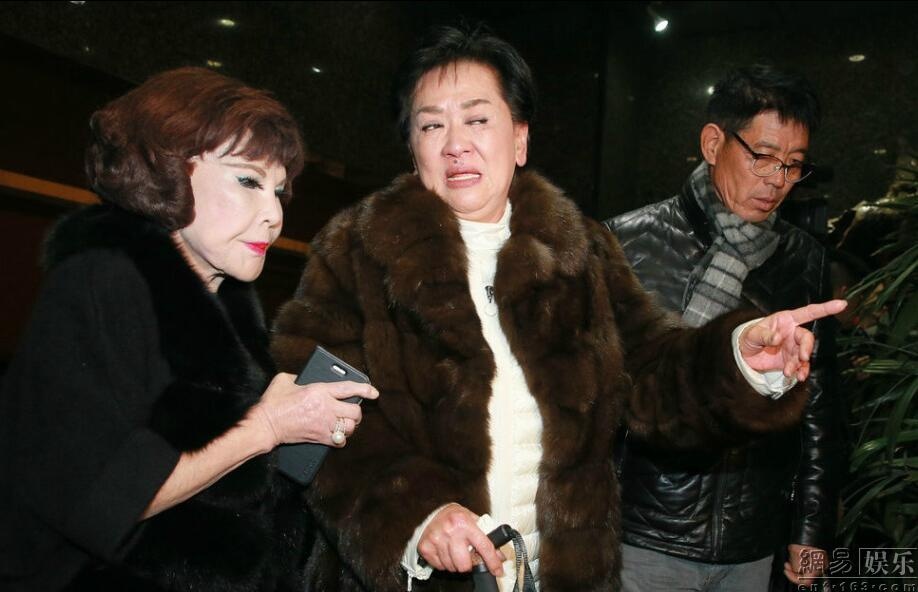 dam tang Lo Phan anh 10