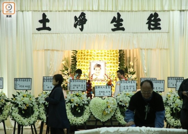 dam tang Lo Phan anh 11