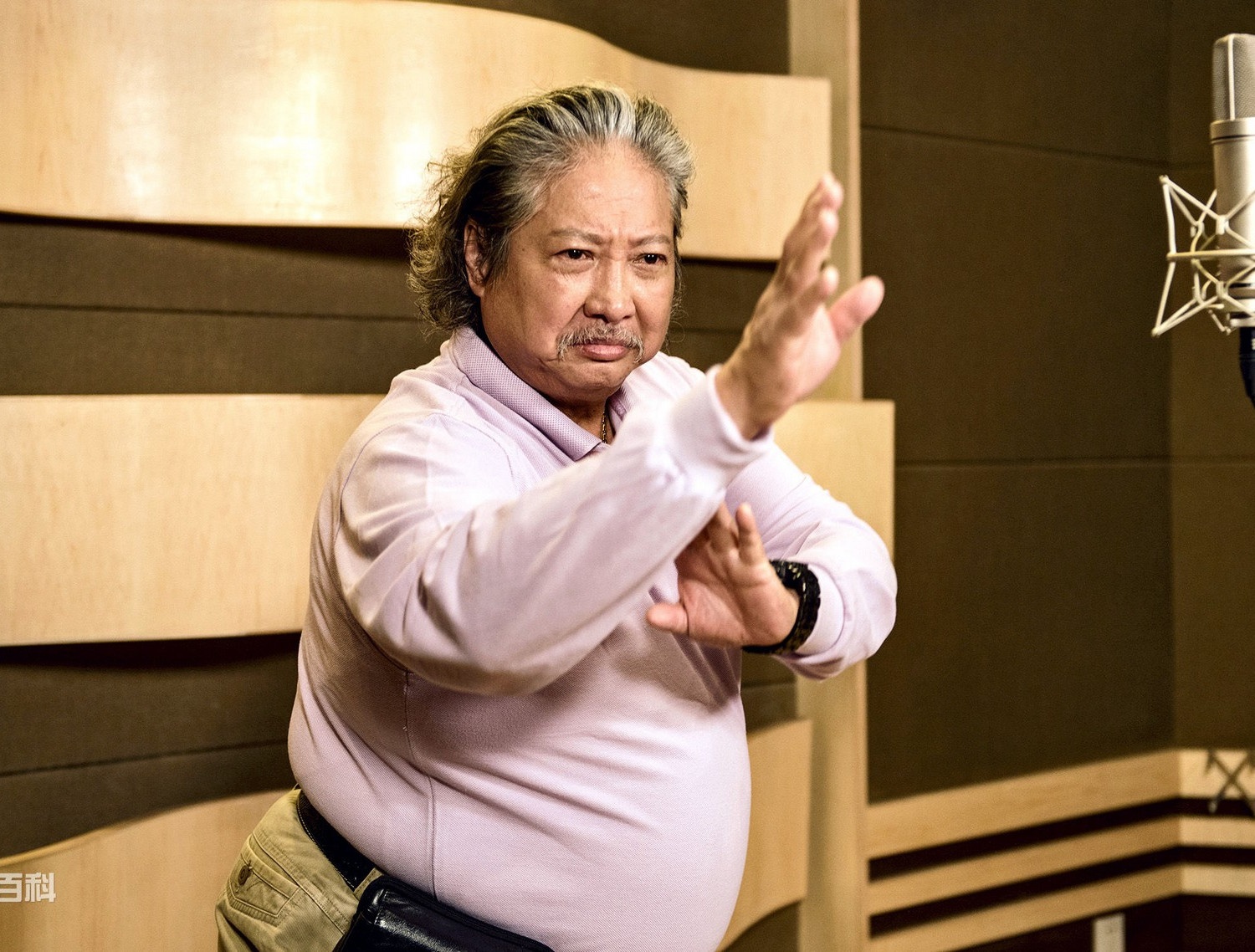 Hong Kim Bao chong gay anh 4