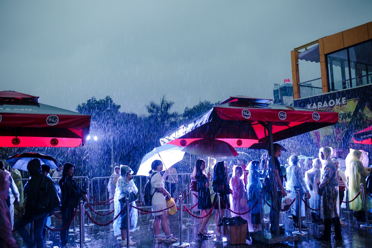 Sự kiện của Sơn Tùng M-TP gặp sự cố ảnh 3 Su kien cua Son Tung M-TP gap su co anh 3