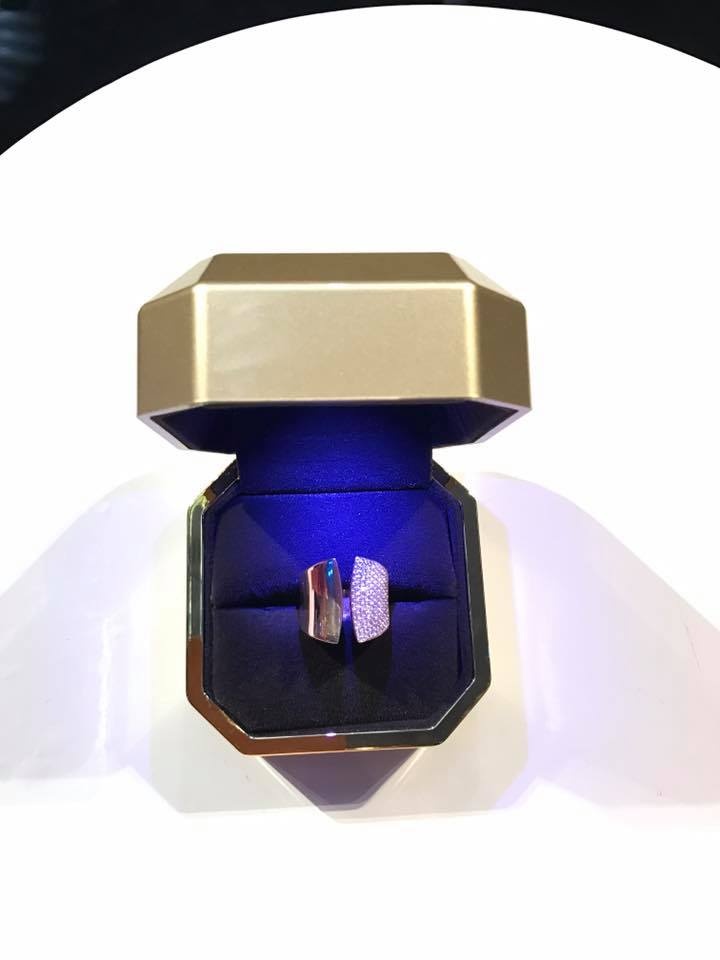 Dương Triệu Vũ tặng nhẫn cho Đàm Vĩnh Hưng ảnh 1 Duong Trieu Vu tang nhan cho Dam Vinh Hung anh 1