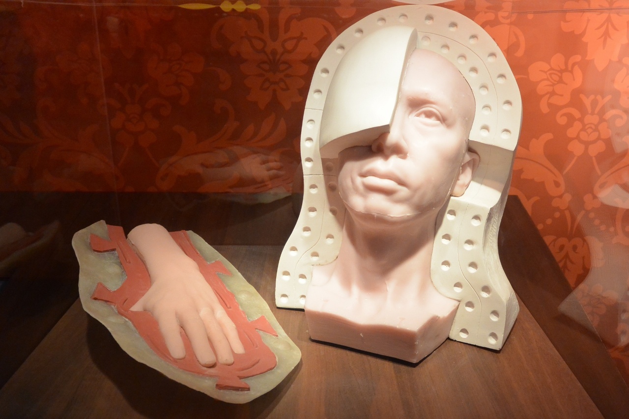 Cach lam tuong sap anh 8