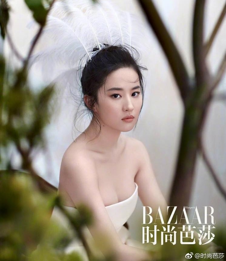 Luu Diec Phi goi cam anh 3