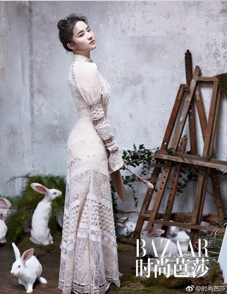 Luu Diec Phi goi cam anh 5