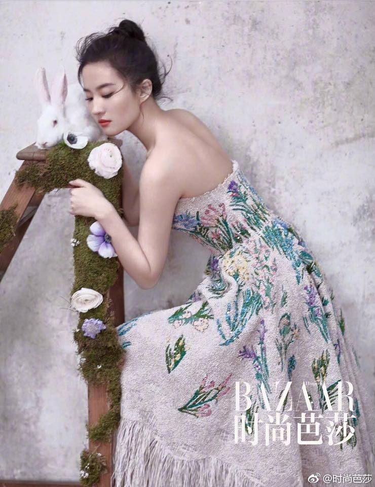 Luu Diec Phi goi cam anh 4