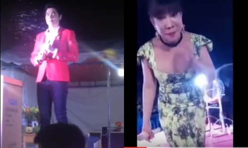 Phia doan dan dung 'xu dep' Luu Chi Vy hinh anh