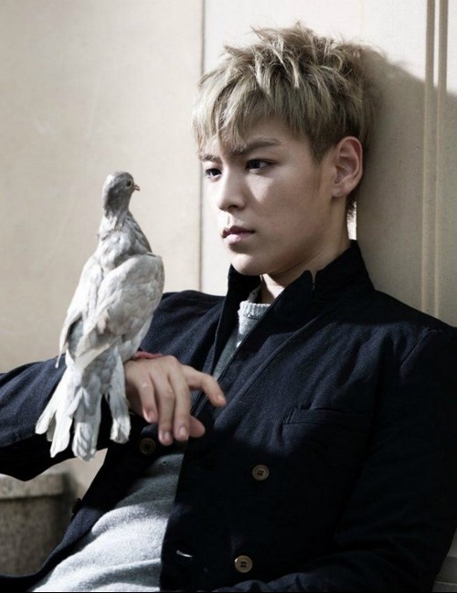Sao Việt nói về sự kiện của T.O.P (Big Bang) ảnh 1 Sao Viet noi ve su kien cua T.O.P (Big Bang) anh 1