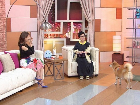 Hoac Kien Hoa cau hon lam tam nhu anh 1