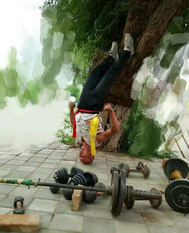 Triệu Ký Long quỳ hoa điểm huyệt ảnh 2 Trieu Ky Long quy hoa diem huyet anh 2