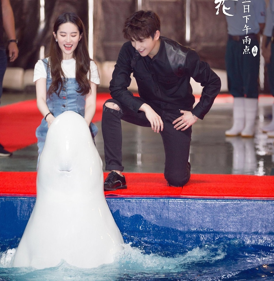 Luu Diec Phi hop bao anh 5