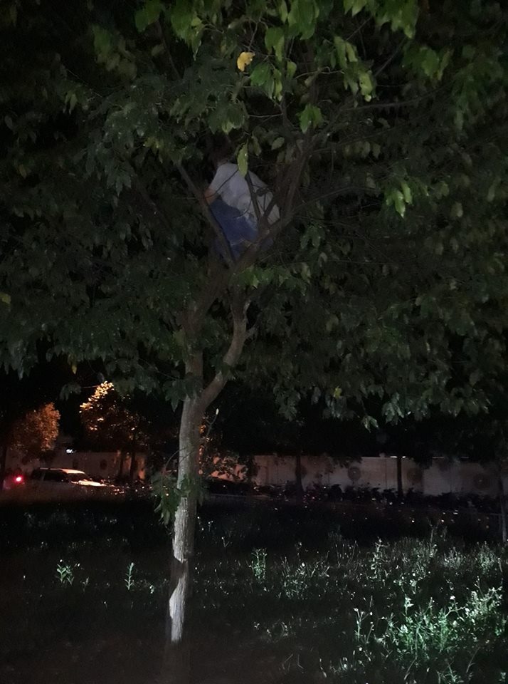 20.000 khán giả Kon Tum phấn khích vì Trường Giang ảnh 3 20.000 khan gia Kon Tum phan khich vi Truong Giang anh 3