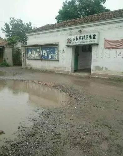 Triệu Lệ Dĩnh nói tiếng Anh tệ ảnh 3 Trieu Le Dinh noi tieng Anh te anh 3