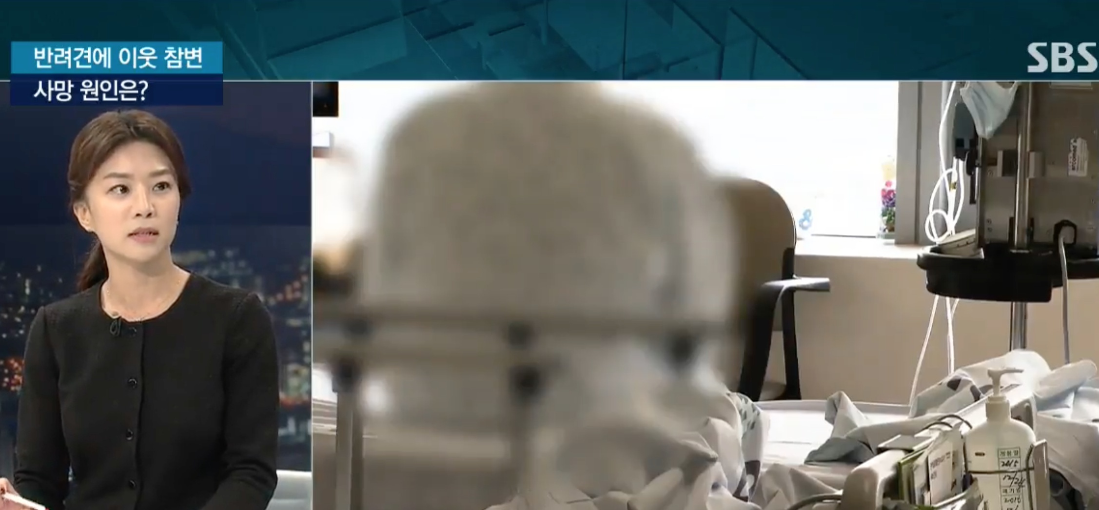 Chó Choi Si Won cắn chết người ảnh 4 Cho Choi Si Won can chet nguoi anh 4