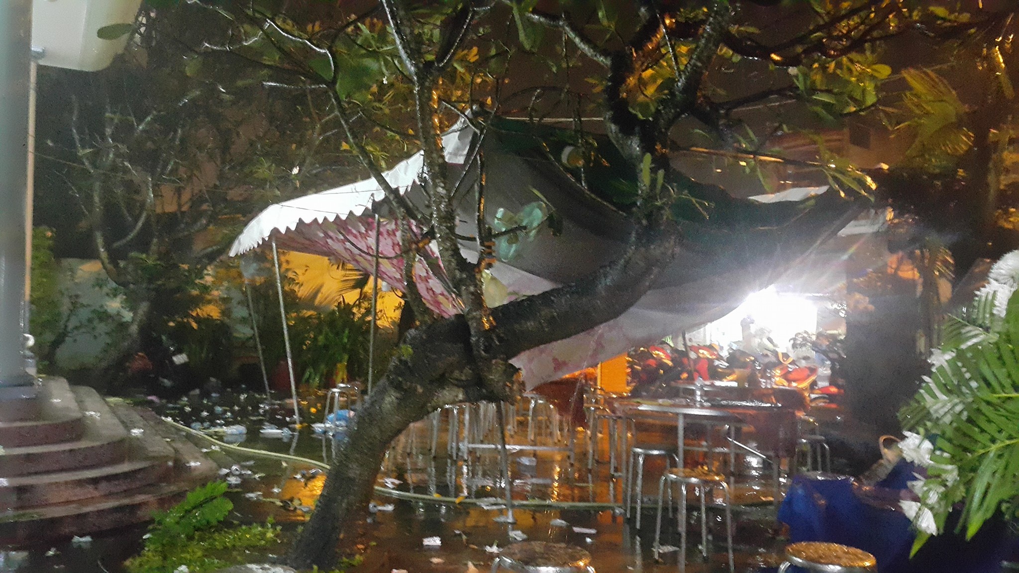 Le tang Nguyen Hoang anh 6