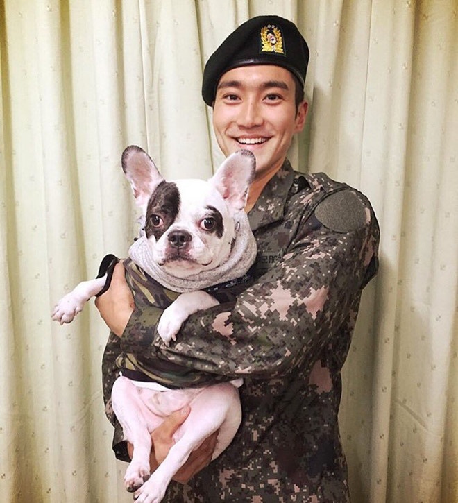 danh sách sao Hàn tai tiếng 2017 ảnh 3 danh sach sao Han tai tieng 2017 anh 3