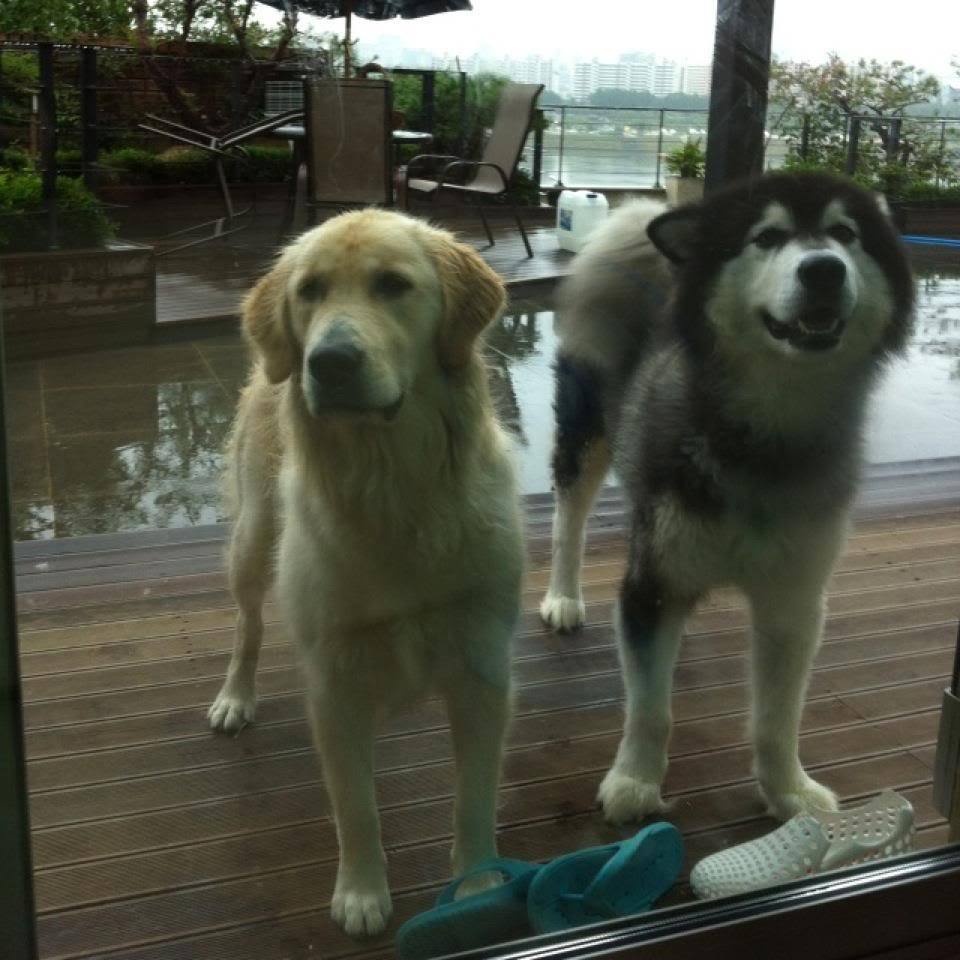 Park Yoochun bi kien khi cho cung can ban anh 1