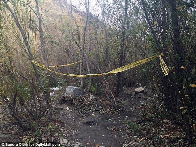 Tai tu Glee tu sat anh 1