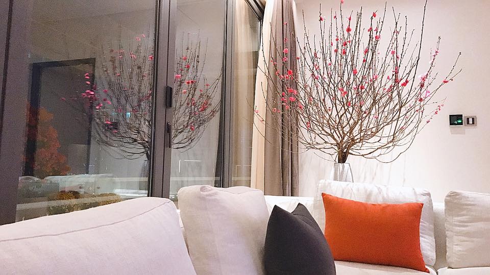 Thu Thảo mang thai ảnh 2 Thu Thao mang thai anh 2