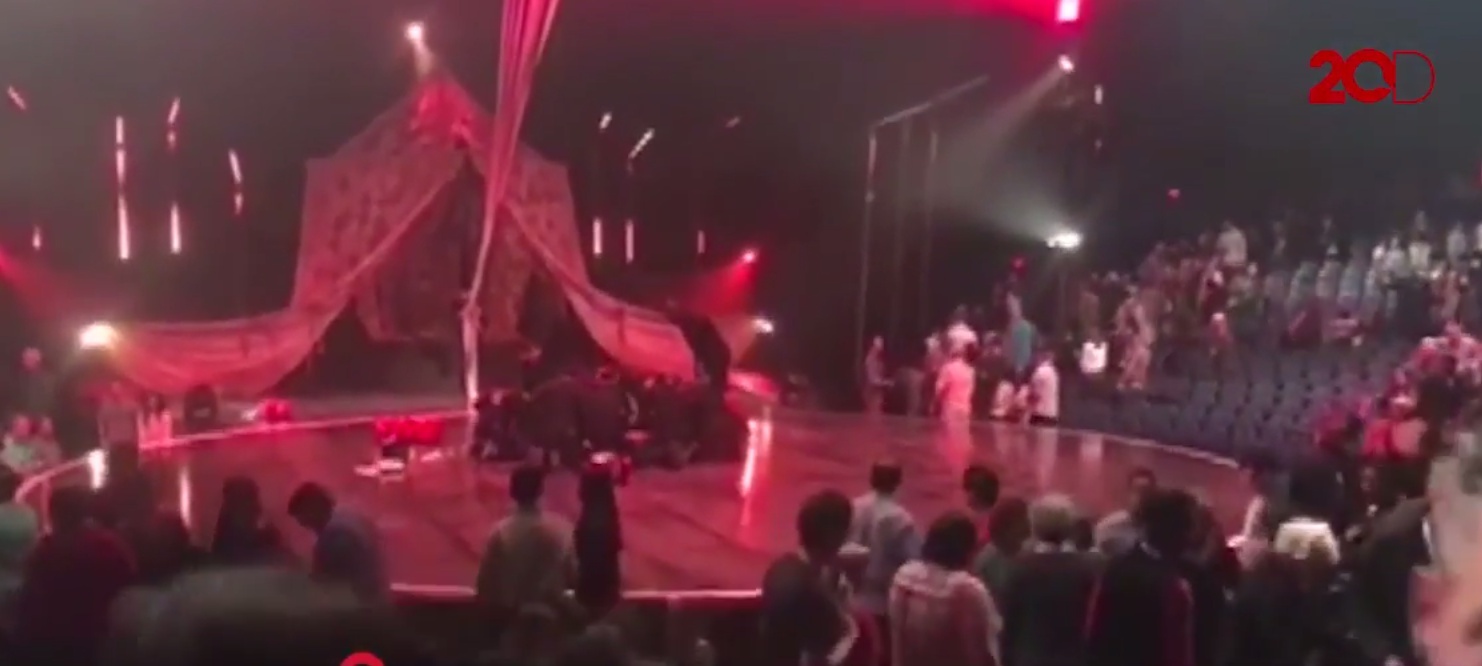 Nghệ sĩ xiếc tử vong sau tai nạn ngã từ trên cao ảnh 2 Nghe si xiec tu vong sau tai nan nga tu tren cao anh 2