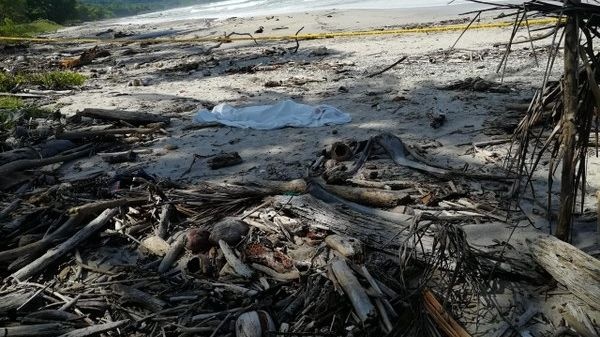 Nghe si bi cuong hiep,  giet hai anh 2