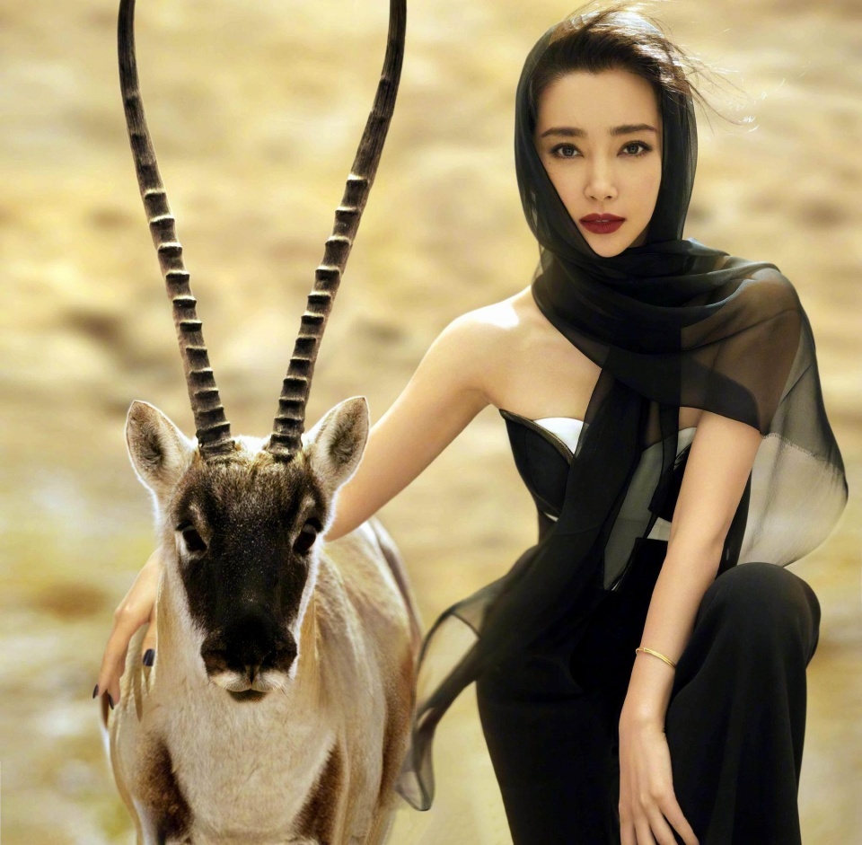 Ly Bang Bang goi cam tuoi U50 anh 13