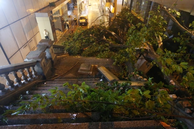 phim truong danh sap vi bao Mangkhut anh 6