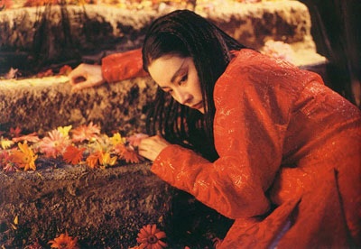 Lam Thanh Ha ly hon anh 12