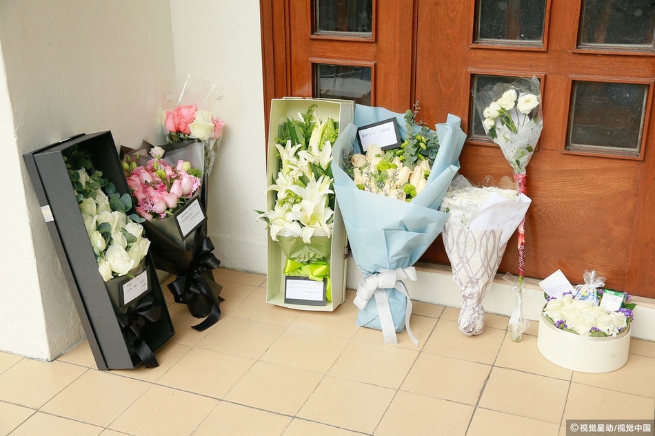 Lam Khiet Anh qua doi anh 10