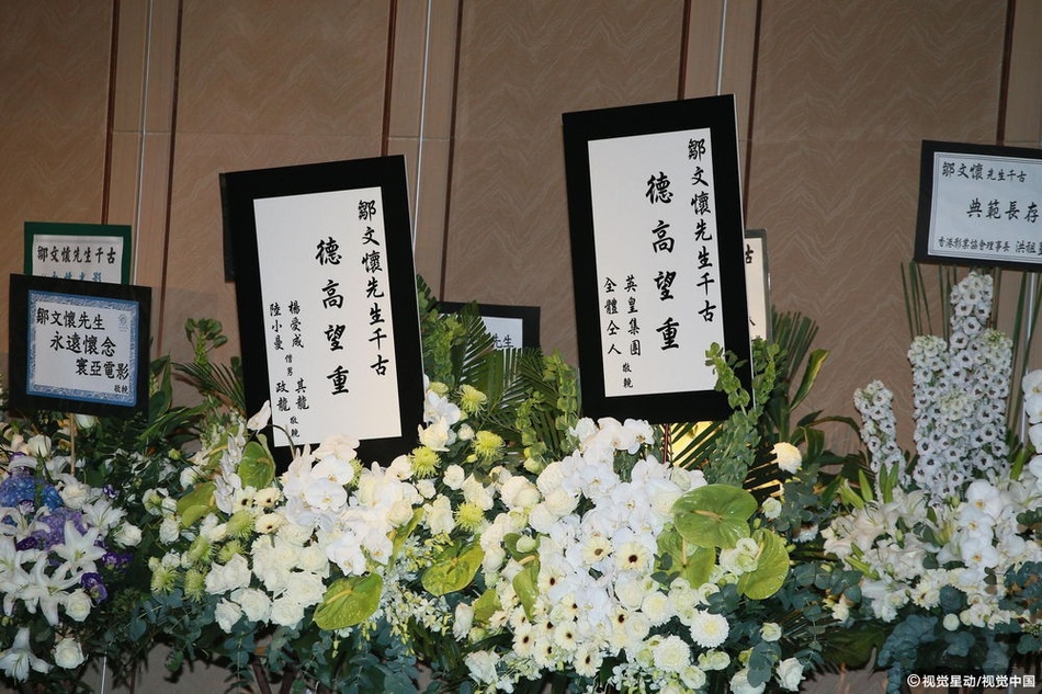 Trau Van Hoai qua doi anh 10