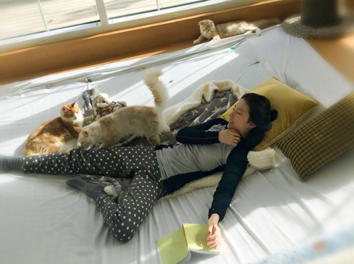 Luu Diec Phi xinh dep anh 1