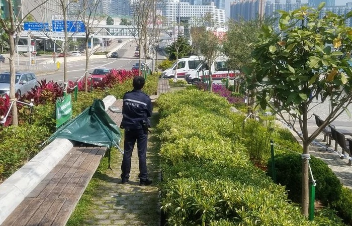 Dien vien quan chung TVB qua doi vi ret khi ngu giua cong vien hinh anh