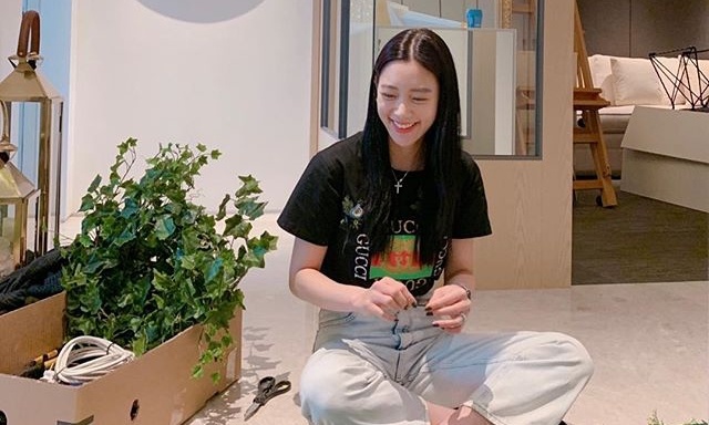 'Bup be' Clara don den song o toa thap cao nhat Han Quoc truoc Tet hinh anh