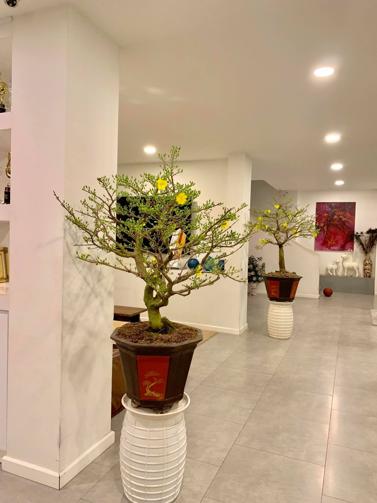 Sao Viet nha sang anh 9