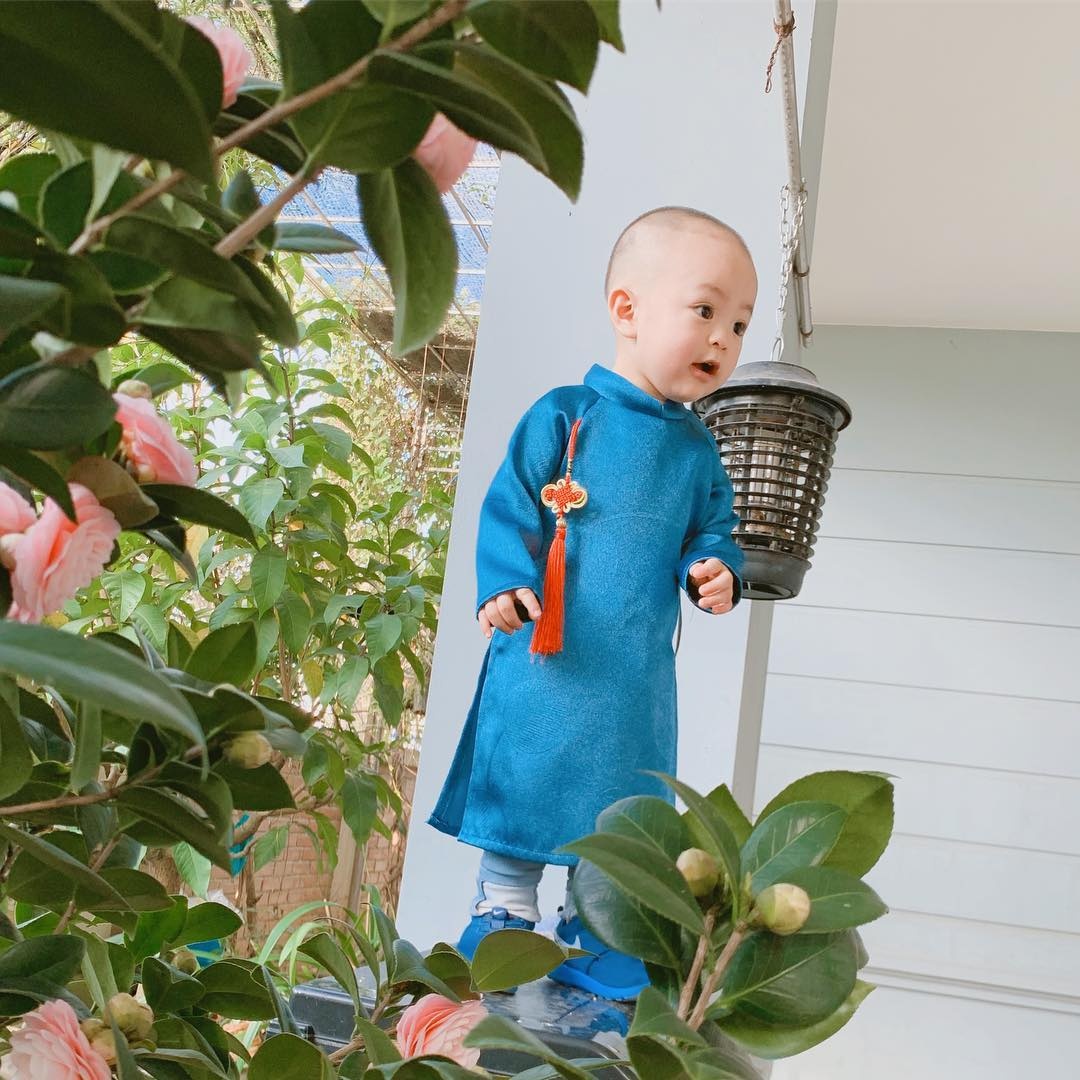 Con sao Viet don Tet anh 5